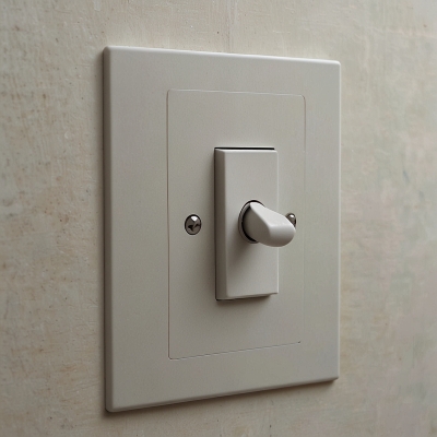 Выключатель накладной одноклавишный (демо)