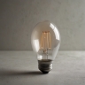 Лампа накаливания матовая Е27  (демо)