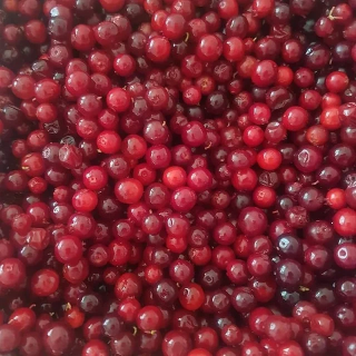 Брусника (упаковка)